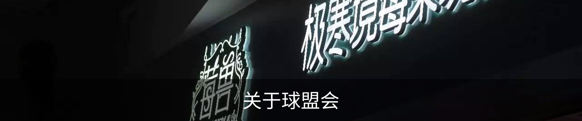 关于球盟会